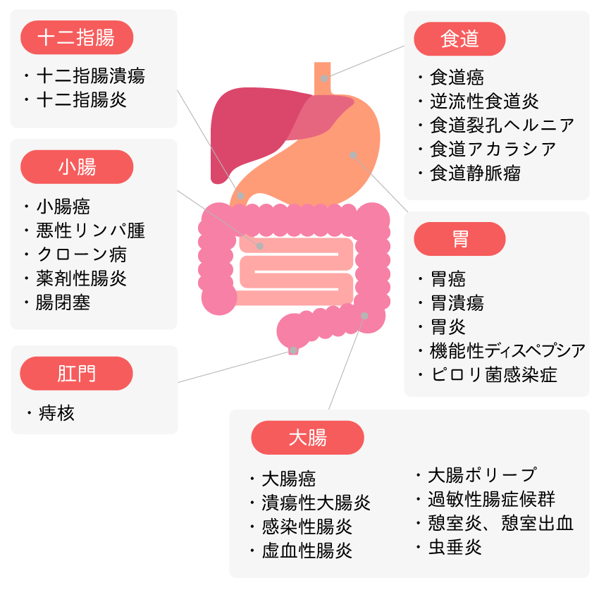 主な対象疾患画像1